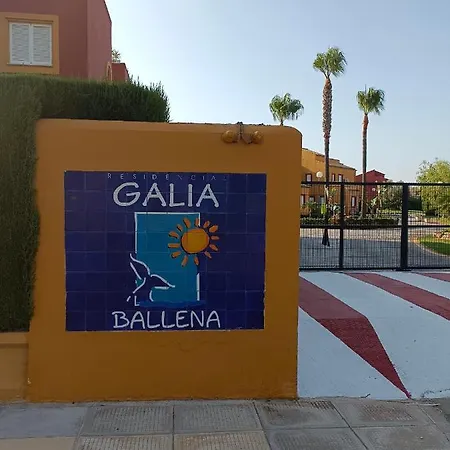 Appartement Galia *