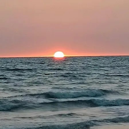 Galia Costa Ballena